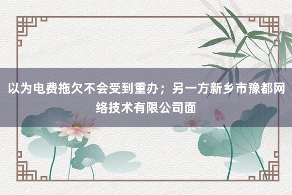 以为电费拖欠不会受到重办；另一方新乡市豫都网络技术有限公司面