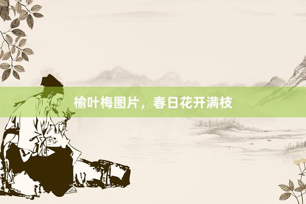 榆叶梅图片，春日花开满枝