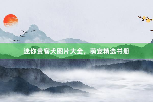 迷你贵客犬图片大全，萌宠精选书册